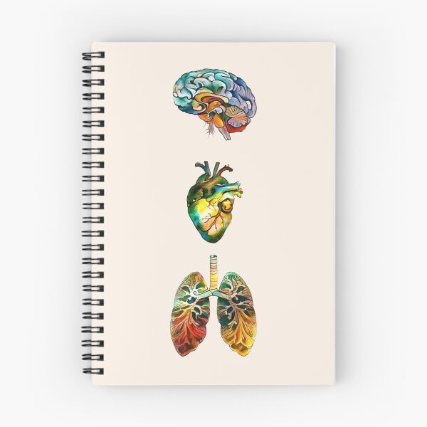Item preview, colorful set of human organ, roses, flowers, lungs, heart and brain designed and sold by Collagedream.