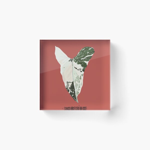Item preview, Syngonium Variegata Leaf Leaf Art Print designed and sold by plantificant.
