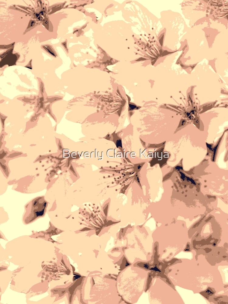 Vintage Peach Pink Cream Cherry Blossoms Illustration by beverlyclaire