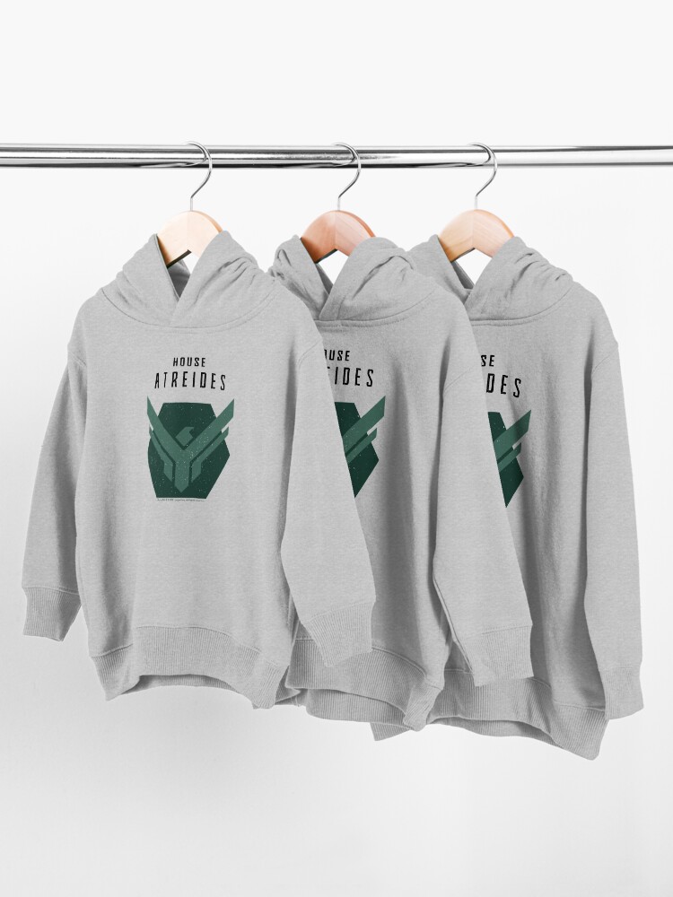 Alternate view of House Atreides, Atreides Logo Toddler Pullover Hoodie
