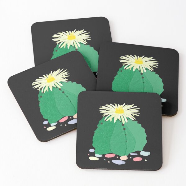 Item preview, Astrophytum Myriostigma, The Bishop's Cap Cactus. With Sea Stones designed and sold by On-The-Roof.