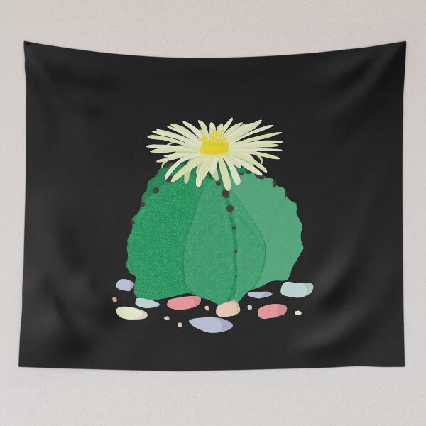 Item preview, Astrophytum Myriostigma, The Bishop's Cap Cactus. With Sea Stones designed and sold by On-The-Roof.