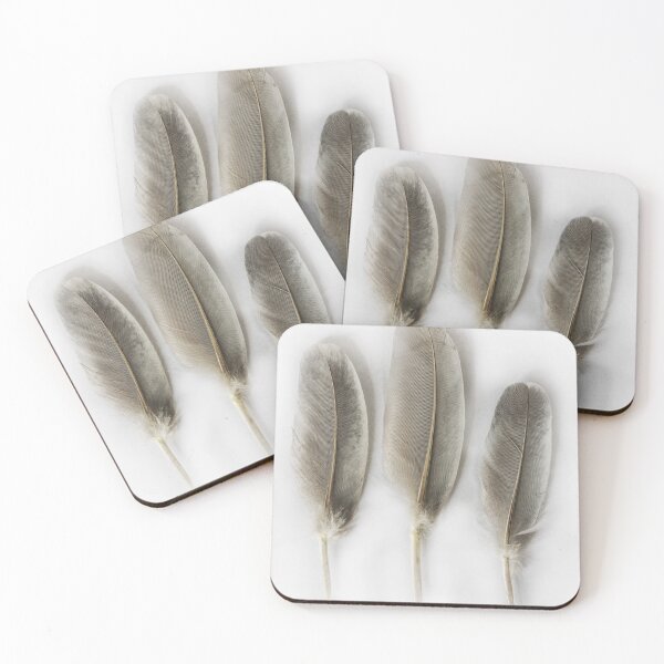 Item preview, Still life with grey feathers designed and sold by JBlaminsky.
