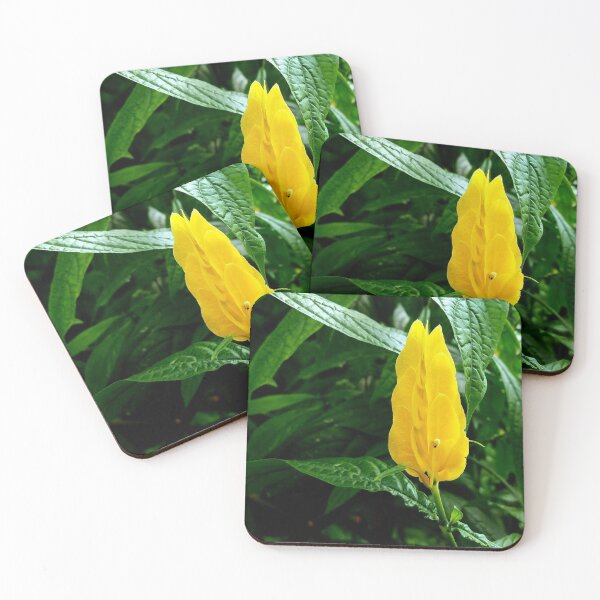 Item preview, Golden Shrimp Plant designed and sold by LitaAn.