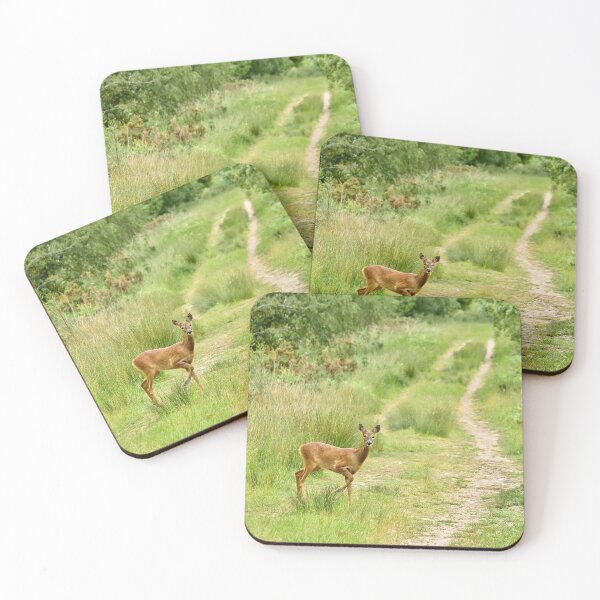 Item preview, Roe Deer Crossing My Path. designed and sold by Kerry Palmer.
