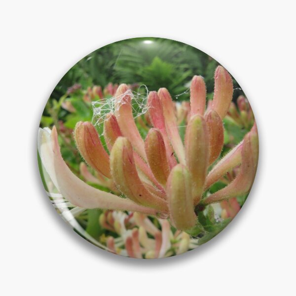 Item preview, honeysuckle flower designed and sold by KathleenDawson.