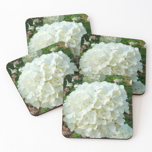 Item preview, White hydrangea designed and sold by LitaAn.