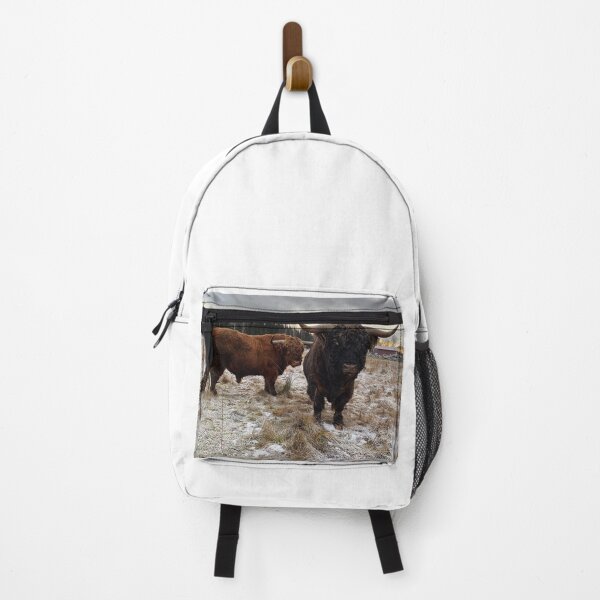 Item preview, Scottish Highland Cattle Bulls 2651 designed and sold by SaarelaHighland.