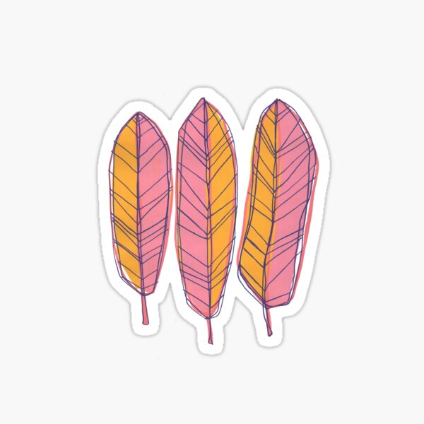 Fairy Pink Turkey Plumage Feathers - Feathergirl