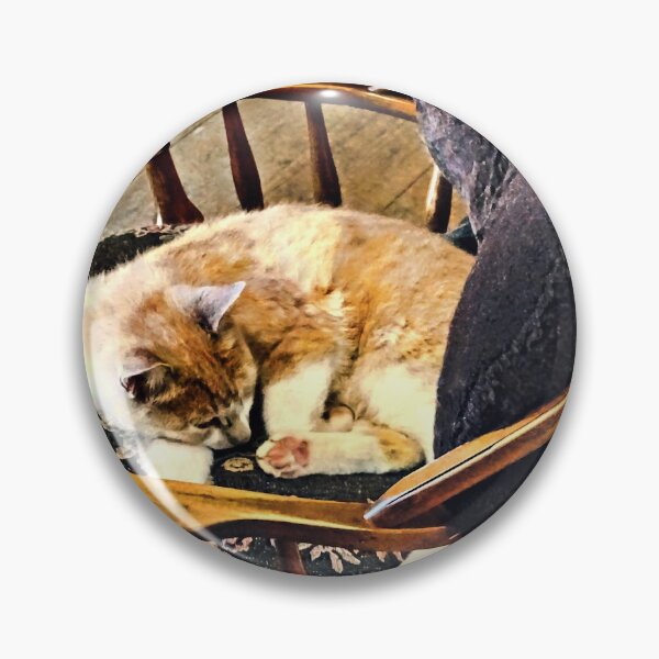 Item preview, Cat Taking a Nap designed and sold by Susan Savad.
