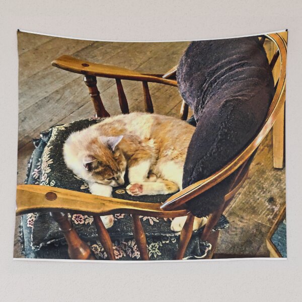 Item preview, Cat Taking a Nap designed and sold by Susan Savad.