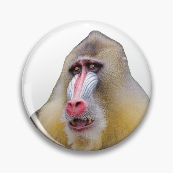Item preview, Baboon designed and sold by BlessingDirect.