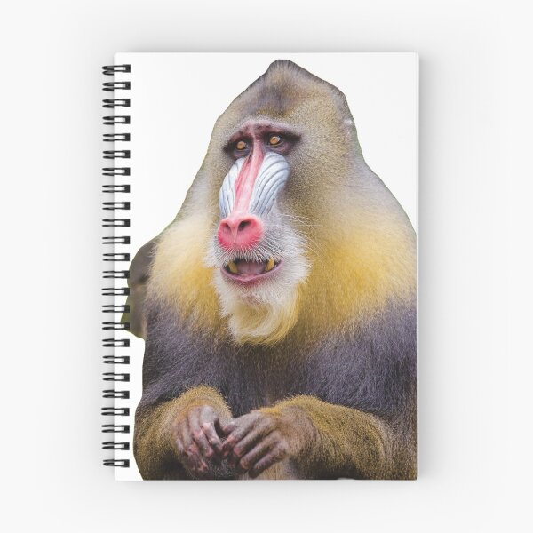 Item preview, Baboon designed and sold by BlessingDirect.