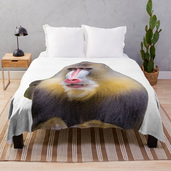 Item preview, Baboon designed and sold by BlessingDirect.