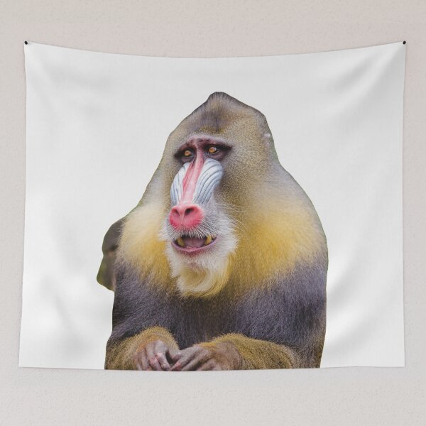 Item preview, Baboon designed and sold by BlessingDirect.