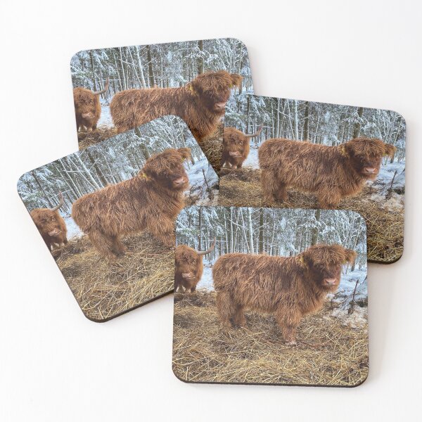 Item preview, Scottish Highland Cattle Calf 2661 designed and sold by SaarelaHighland.