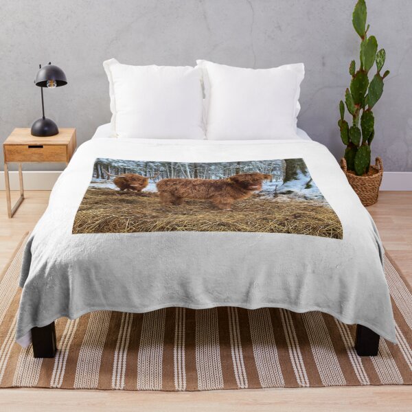 Item preview, Scottish Highland Cattle Calf 2661 designed and sold by SaarelaHighland.
