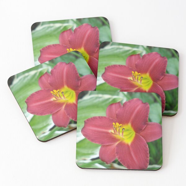 Item preview, Backyard Delight designed and sold by VioletVends.