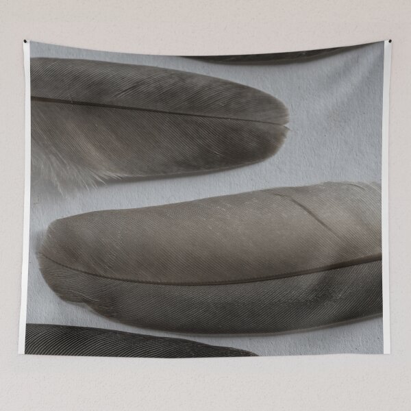 Item preview, Still life with four feathers designed and sold by JBlaminsky.