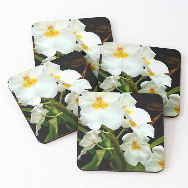 Item preview, Miltoniopsis Orchids designed and sold by LitaAn.