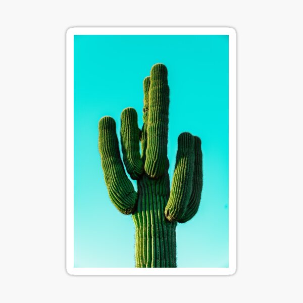 "Saguaro Cactus" Sticker by ScreamingGato Redbubble
