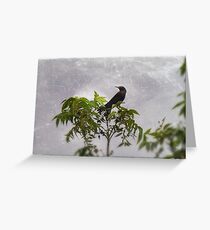 Bye, Bye, Blackbird Greeting Card