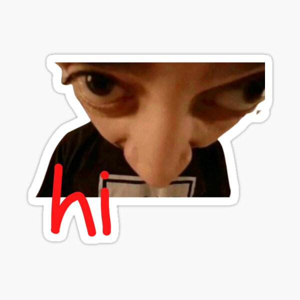 "Meme" Sticker for Sale by Pulte | Redbubble