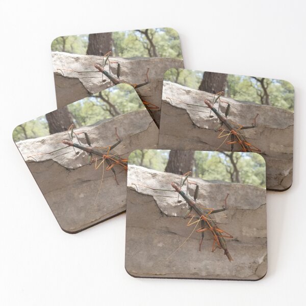 Item preview, Nature Designs - Cool Insect Picture designed and sold by joyofnature.