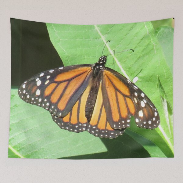 Item preview, 'The Beautiful Monarch' Art on a Mission  designed and sold by OriginalArt4ME.