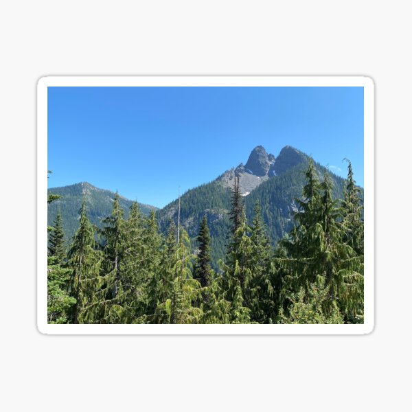 Item preview, Washington Tree Tops designed and sold by lindamorel1201.