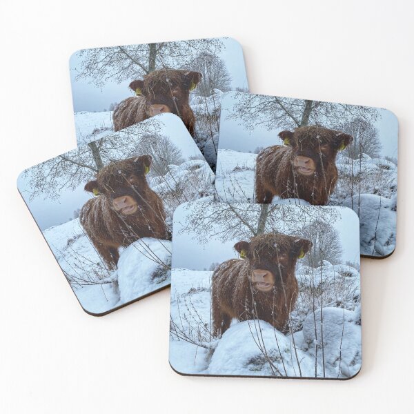 Item preview, Scottish Highland Cattle Calf in snow 2676 designed and sold by SaarelaHighland.
