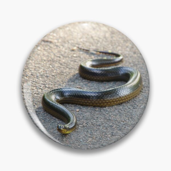 Item preview, Striped Swampsnake designed and sold by InhumanImaging.