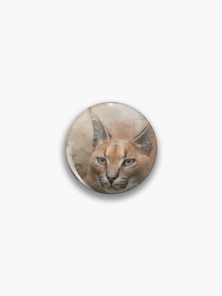 Pin on CARACAL