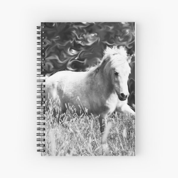 Aperçu de l'œuvre Sauvage et libre ! Noir et blanc (photographie) créée et vendue par Lori Ackley.