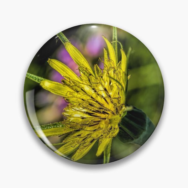 Item preview, Meet Meadow Salsify designed and sold by alanathrower.