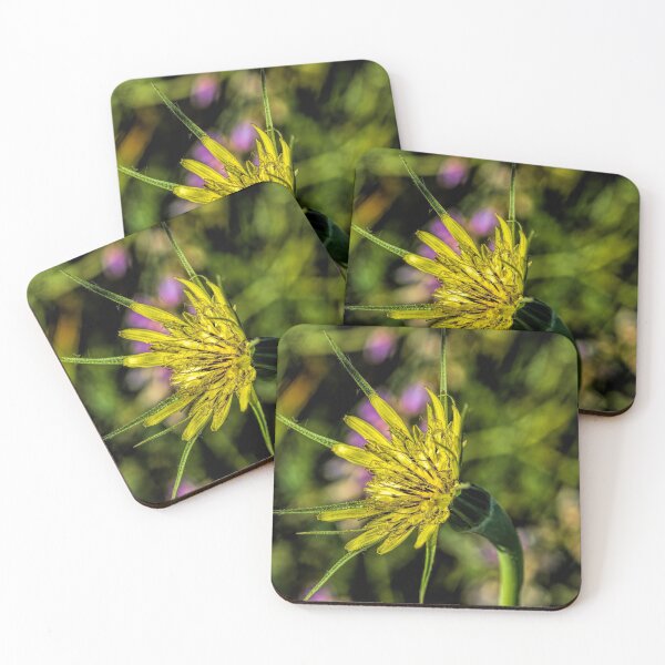 Item preview, Meet Meadow Salsify designed and sold by alanathrower.
