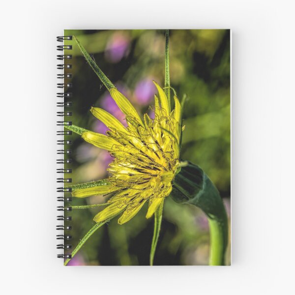 Item preview, Meet Meadow Salsify designed and sold by alanathrower.