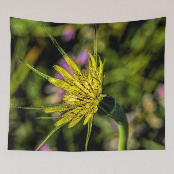 Item preview, Meet Meadow Salsify designed and sold by alanathrower.