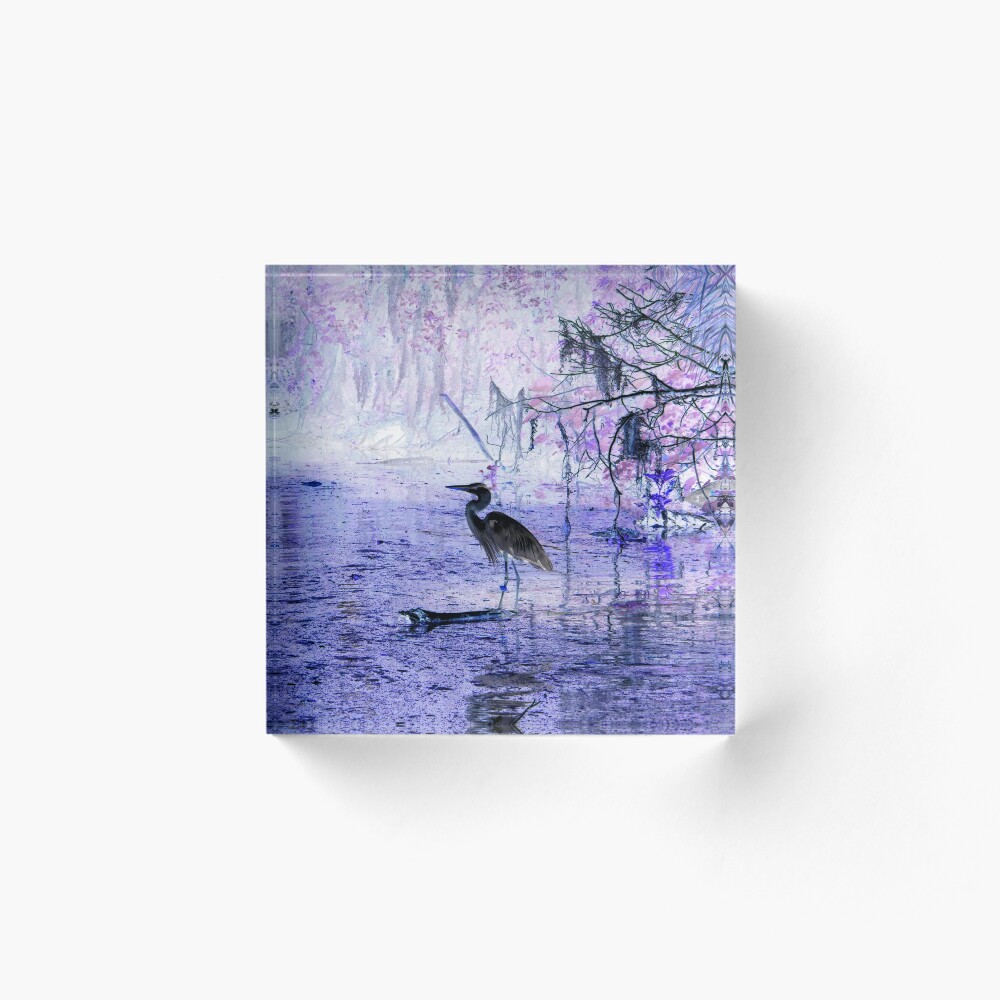 Item preview, Acrylic Block designed and sold by InhumanImaging.