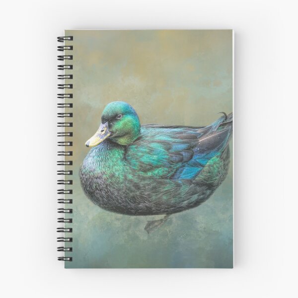 Item preview, Cayuga Duck designed and sold by Elisabeth Lucas.