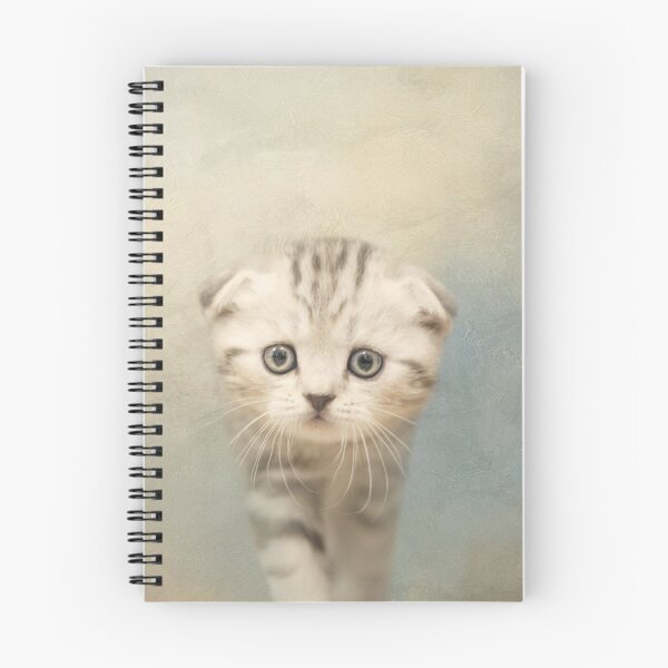 Item preview, Striped Scottish Fold Kitten designed and sold by Elisabeth Lucas.
