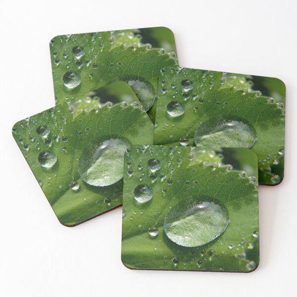 Item preview, Water drops on a leaf designed and sold by Hasan Kamal.