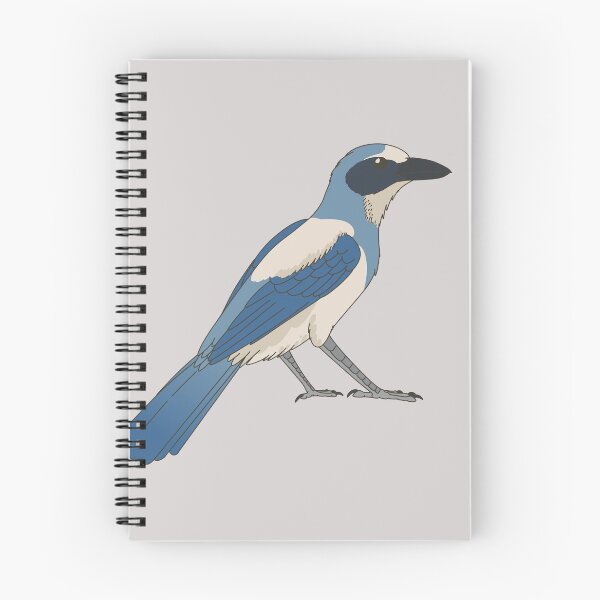 Item preview, Scrub jay  designed and sold by DragonArtist15.