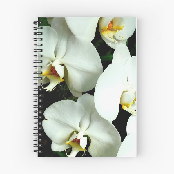 Item preview, White Phalaenopsis  designed and sold by LitaAn.