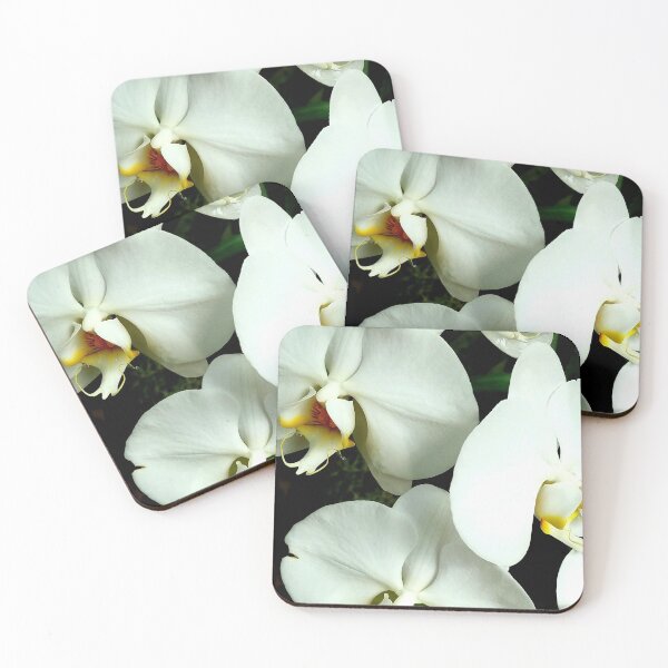 Item preview, White Phalaenopsis  designed and sold by LitaAn.