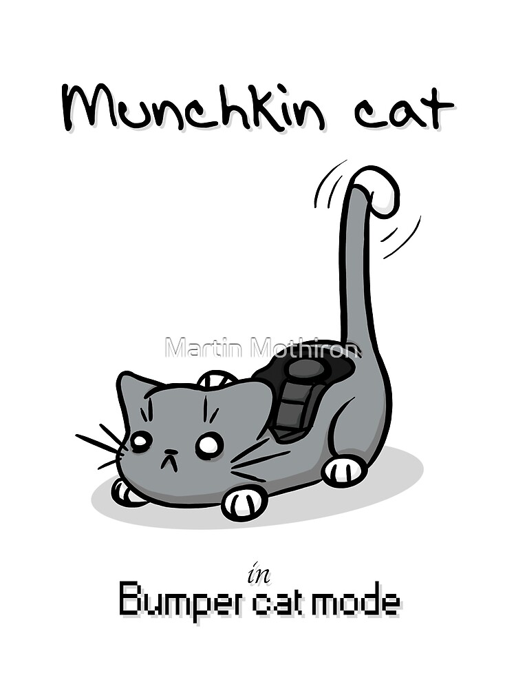 Schwarz weiße Munchkin Katze