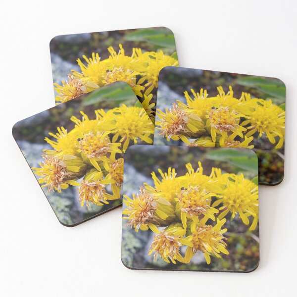Item preview, Mountain Goldenrod  designed and sold by C Schabowski.