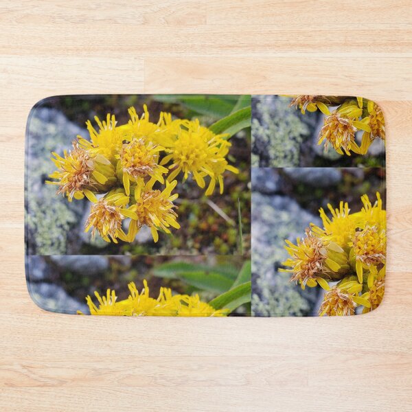 Item preview, Mountain Goldenrod  designed and sold by C Schabowski.