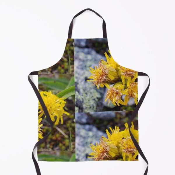 Item preview, Mountain Goldenrod designed and sold by C Schabowski.