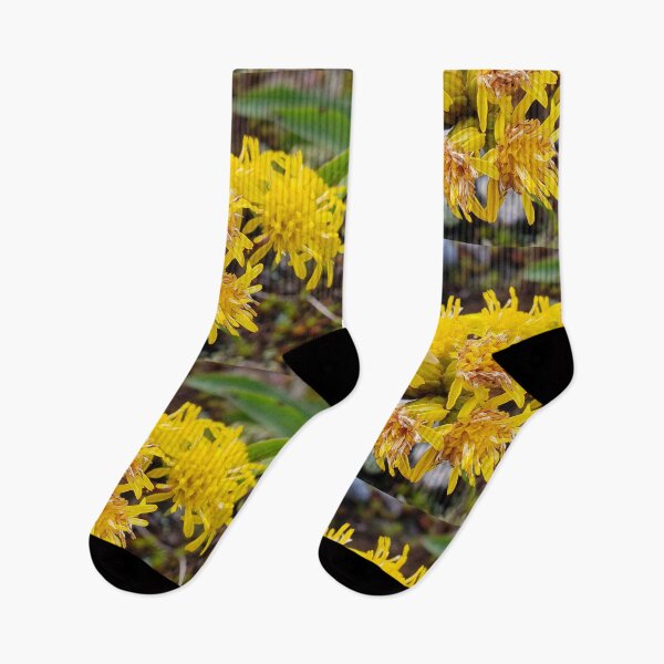 Item preview, Mountain Goldenrod  designed and sold by C Schabowski.